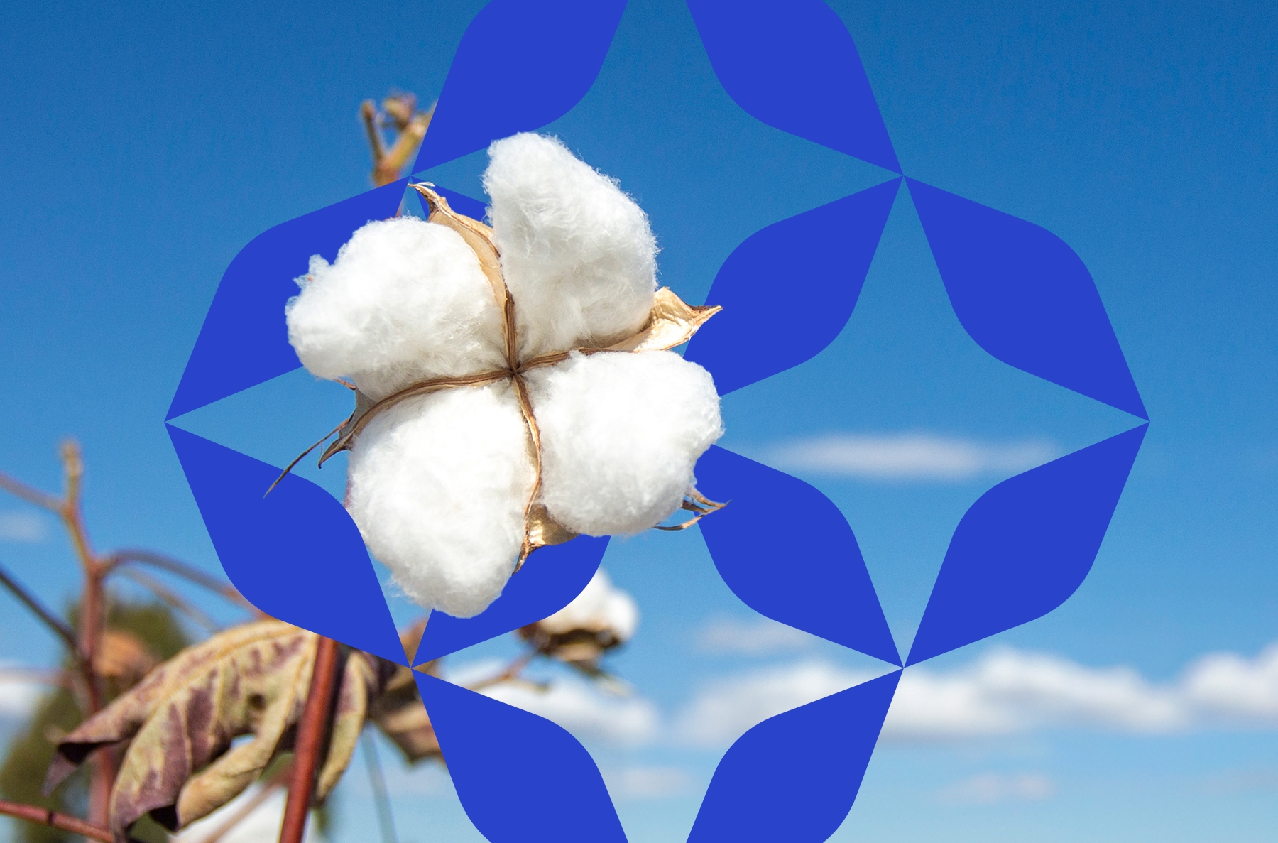 More Than a Towel,
A Cultural Identity